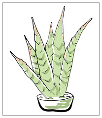 Vector greeting card with cactus. Multicolored hand drawn illustration.