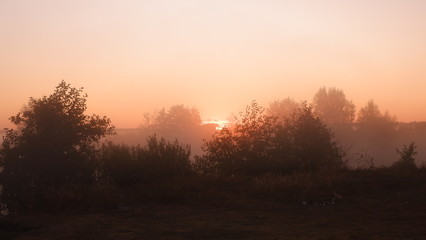 Fototapeta na wymiar Misty dawn at the river, beautiful summer morning in wood with sun rays and a fog from the river