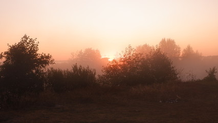 Fototapeta na wymiar Misty dawn at the river, beautiful summer morning in wood with sun rays and a fog from the river