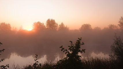Fototapeta premium Misty dawn at the river, beautiful summer morning in wood with sun rays and a fog from the river