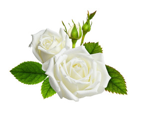 Rose flowers in a floral arrangement