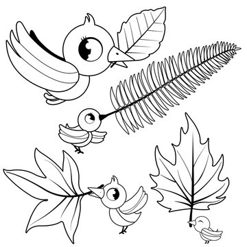 Cute birds holding tree leaves. Vector black and white coloring page