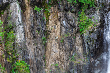 Background texture of a gray brown stone on the rock of the mountain discovered during archaeological excavations as a monument to millions of years of the formation of cancerous deposits under water