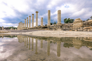Ancient Roman Columns in the Beit She'an  Park, Israel