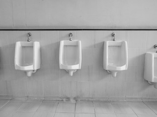 Empty row of outdoor urinals men public toilet.Close up white urinals in men's bathroom.White ceramic urinals for man in toilet room.Gentlemen restroom in the restaurant.Interior men's toilet.