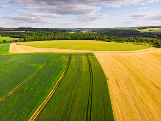 vue aérienne d'un champ et d'agriculture biologique