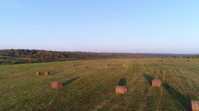 Yellow haystacks on a green meadow, aerial view. Beautiful rural background.