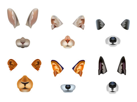Realistic 3d Detailed Different Video Chat Effects Animal Faces Set. Vector