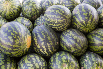 Fototapeta na wymiar Watermelons on the market. Harvest concept. Close-up