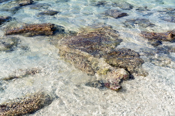 Background, abstract unique texture of the sea, stone on the shore.