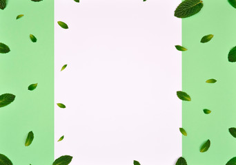 Texture or pattern with мint leaves isolated on mint background. Set of peppermint leaves. Mint Pattern. Flat lay. Top view.