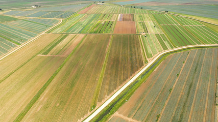 Agricultural land with with green crops and agricultural machinery top view. Countryside with farmland.