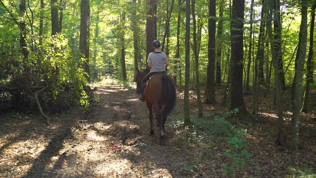 Woman riding a horse through forest at countryside, Croatia.