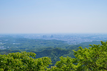 新緑の高尾山からの眺望