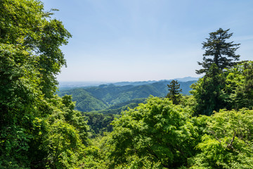 新緑の高尾山からの眺望
