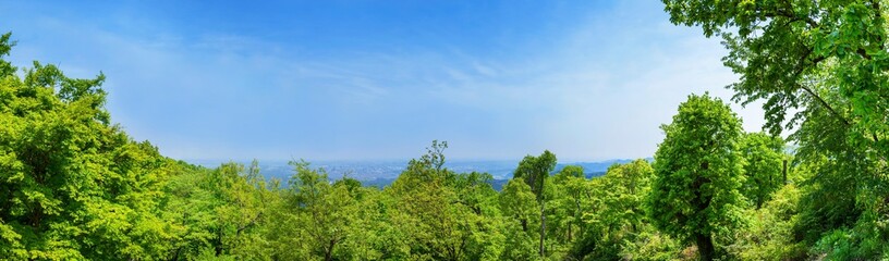 Fototapeta na wymiar 新緑の高尾山山頂からの眺望 パノラマ