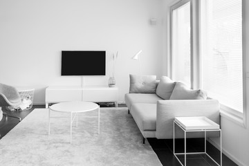 Black and white image of simple and minimal modern scandinavian living room interior.