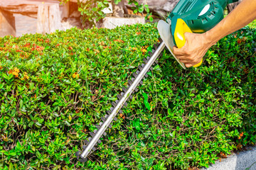 Worker or labor man hand using electrical hedge trimmer for cutting and decorate bushes .Shrub...