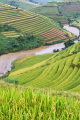 Fototapeta na wymiar Green terraced rice fields at Mu Cang Chai