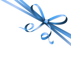 blue colored ribbon bow