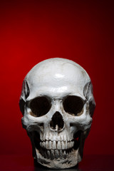 Human skull close up over dark red background