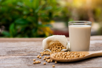 Closeup soy bean in sack and white cup of soy milk with green nature background.	