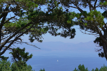 Pine trees on sea shore landscape of Cape Finisterre 