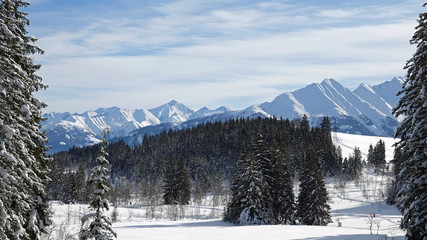 snow walking in the snow capped mountains with a beautiful view to the alps