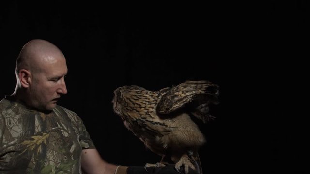 Owl trainer is standing with an owl on his hand in the studio