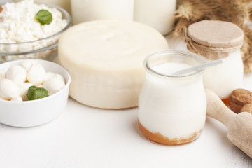 Obraz na płótnie Canvas Cheese wheel and milk in jars