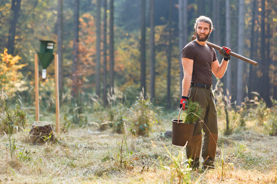 Junger F&ouml;rster im Wald beim Baum pflanzen