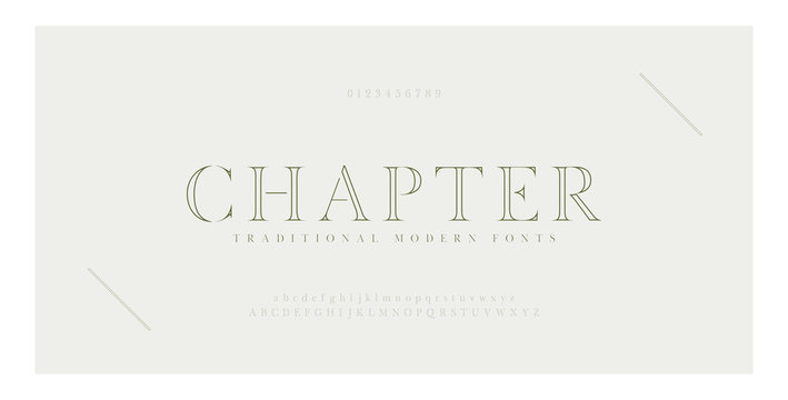 Elegant alphabet letters serif font and number. Classic Lettering Minimal Fashion. Typography thin line fonts uppercase, lowercase and numbers. vector illustration