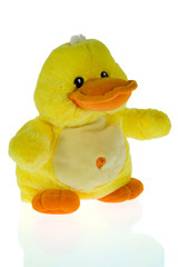 Duck plush doll isolated on white background with shadow reflection