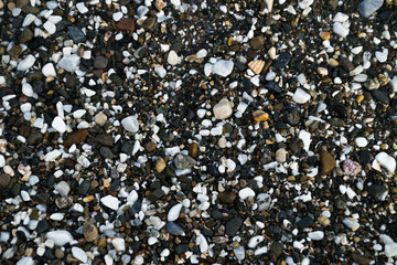 Piedras redondeadas de diversos colores mojada