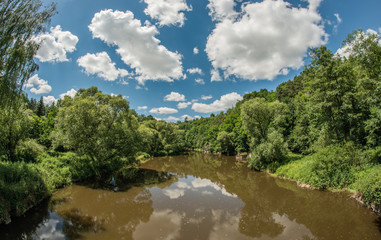 Fototapeta na wymiar browny river in forest with nice sky and clouds