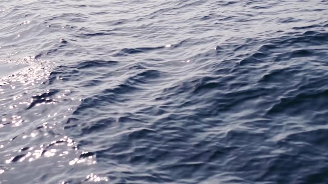 Dolphins swim and jumping out of water in sea, slow motion