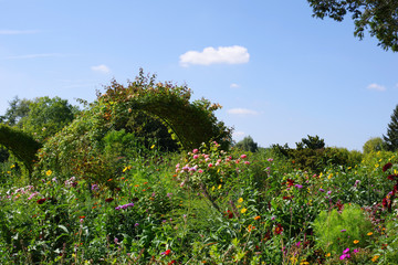 Fototapeta premium Haie du jardin de Claude Monet - 3