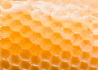 Beautiful pattern texture hexagonal honeycombs in saturated color.