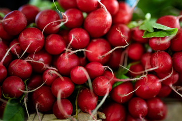 Picture of beautiful fresh radishes on the market