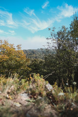 autumn in the mountain park