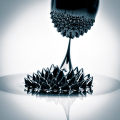 Macro photograph of Ferrofluid flowing from one magnet to another. Ferrofluid is a colloidal liquid...