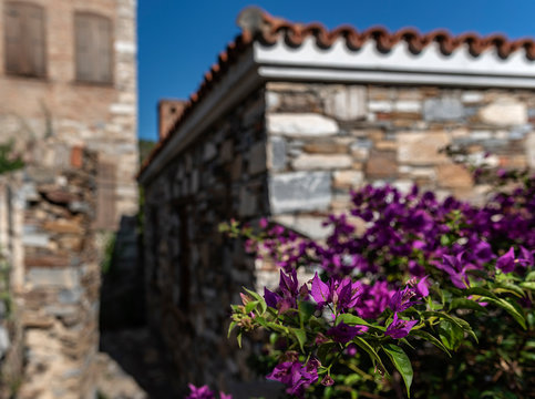 Doganbey village Domatia Soke Aydin,Turkey
