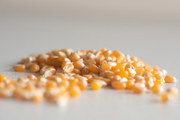 corn on white background