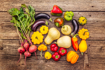 Autumn harvest vegetables. Set of beetroot, eggplant, pumpkin, pepper, zucchini, squash
