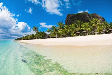 Foto op Plexiglas Le Morne, Mauritius Prachtig uitzicht op het luxe strand in Mauritius. Transparante oceaan, strand, palmen en lucht