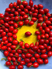Ripe rowans on plate close-up. Autumn harvest 