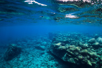Tranquil underwater scene with copy space. Tropical transparent sea