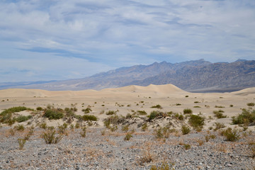 Fototapeta na wymiar Dünen auf dem Weg ins Death Valley