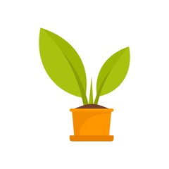 Bio plant pot icon. Flat illustration of bio plant pot vector icon for web design