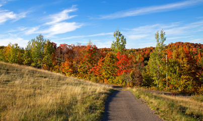 autumn landscape with road and trees